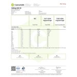 USA Medical CBD olaj 1000mg